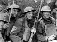 Sergeant York - 8 x 10 B&W Photo #4