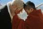 Seven Years in Tibet - 8 x 10 Color Photo #1