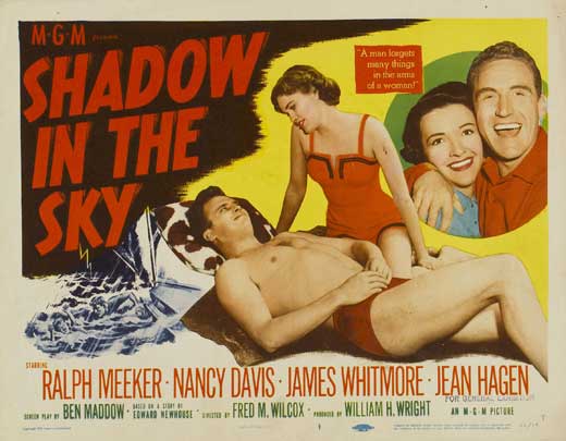 Shadow in the Sky movie
