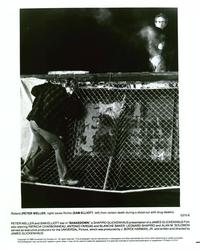 Shakedown - 8 x 10 B&W Photo #9