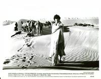 The Sheltering Sky - 8 x 10 B&W Photo #3