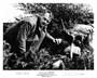 Shoot First - 8 x 10 B&W Photo #1
