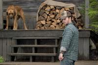 Shooter - 8 x 10 Color Photo #4