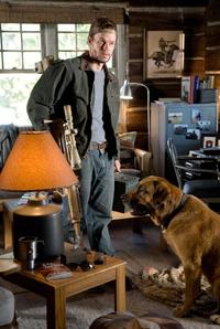 Shooter - 8 x 10 Color Photo #6