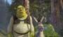 Shrek 2 - 8 x 10 Color Photo #12