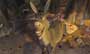 Shrek 2 - 8 x 10 Color Photo #20
