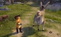 Shrek 2 - 8 x 10 Color Photo #2