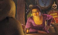 Shrek 2 - 8 x 10 Color Photo #9