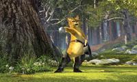 Shrek 2 - 8 x 10 Color Photo #16
