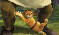 Shrek 2 - 8 x 10 Color Photo #17