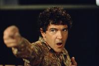 Shrek 2 - 8 x 10 Color Photo #28