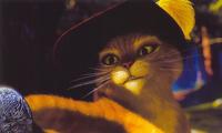 Shrek 2 - 8 x 10 Color Photo #34
