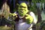 Shrek - 8 x 10 Color Photo #11