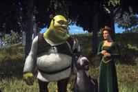 Shrek - 8 x 10 Color Photo #14