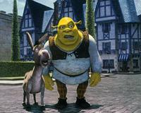 Shrek - 8 x 10 Color Photo #15