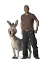 Shrek the Third - 8 x 10 Color Photo #19