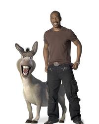 Shrek the Third - 8 x 10 Color Photo #19
