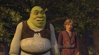 Shrek the Third - 8 x 10 Color Photo #39