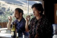 Sideways - 8 x 10 Color Photo #4
