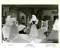 Sleeping Beauty - 8 x 10 B&W Photo #1
