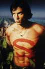 Smallville (TV) - 8 x 10 Color Photo #006
