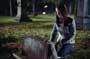 Smallville (TV) - 8 x 10 Color Photo #019