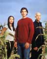 Smallville (TV) - 8 x 10 Color Photo #032