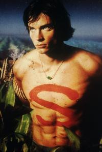 Smallville (TV) - 8 x 10 Color Photo #006