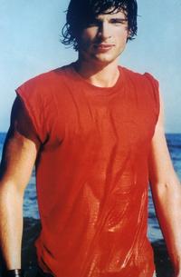 Smallville (TV) - 8 x 10 Color Photo #009
