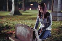 Smallville (TV) - 8 x 10 Color Photo #019