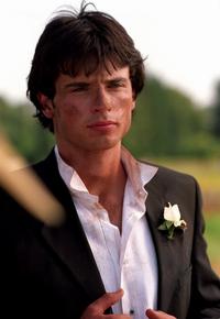 Smallville (TV) - 8 x 10 Color Photo #028