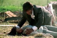 Smallville (TV) - 8 x 10 Color Photo #029