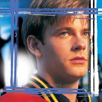 Smallville (TV) - 8 x 10 Color Photo #036
