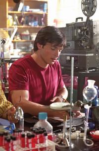 Smallville (TV) - 8 x 10 Color Photo #045
