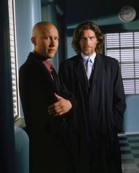 Smallville (TV) - 8 x 10 Color Photo #052