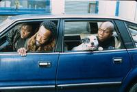 Snatch - 8 x 10 Color Photo #13