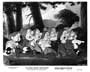 Snow White and the Seven Dwarfs - 8 x 10 B&W Photo #2