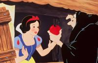 Snow White and the Seven Dwarfs - 8 x 10 Color Photo #4