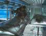 Solaris - 8 x 10 Color Photo #12