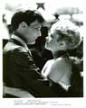 Something Wild - 8 x 10 B&W Photo #6