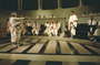 Spartacus - 8 x 10 Color Photo #2