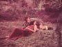 Spartacus - 8 x 10 Color Photo #4