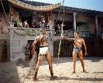 Spartacus - 8 x 10 Color Photo #6