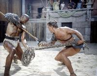 Spartacus - 8 x 10 Color Photo #9