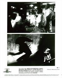Species - 8 x 10 B&W Photo #10