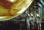 Sphere - 8 x 10 Color Photo #3
