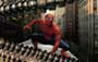 Spider-Man 2 - 8 x 10 Color Photo #33
