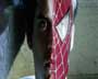 Spider-Man 2 - 8 x 10 Color Photo #52