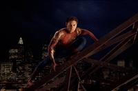 Spider-Man 2 - 8 x 10 Color Photo #10