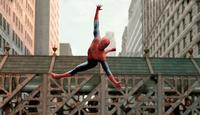 Spider-Man 2 - 8 x 10 Color Photo #34